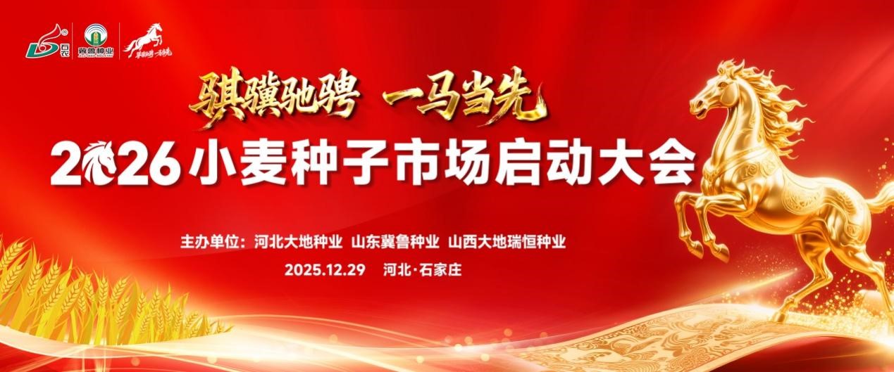 冀鲁晋小麦种子2026市场启动大会在石家庄隆重召开