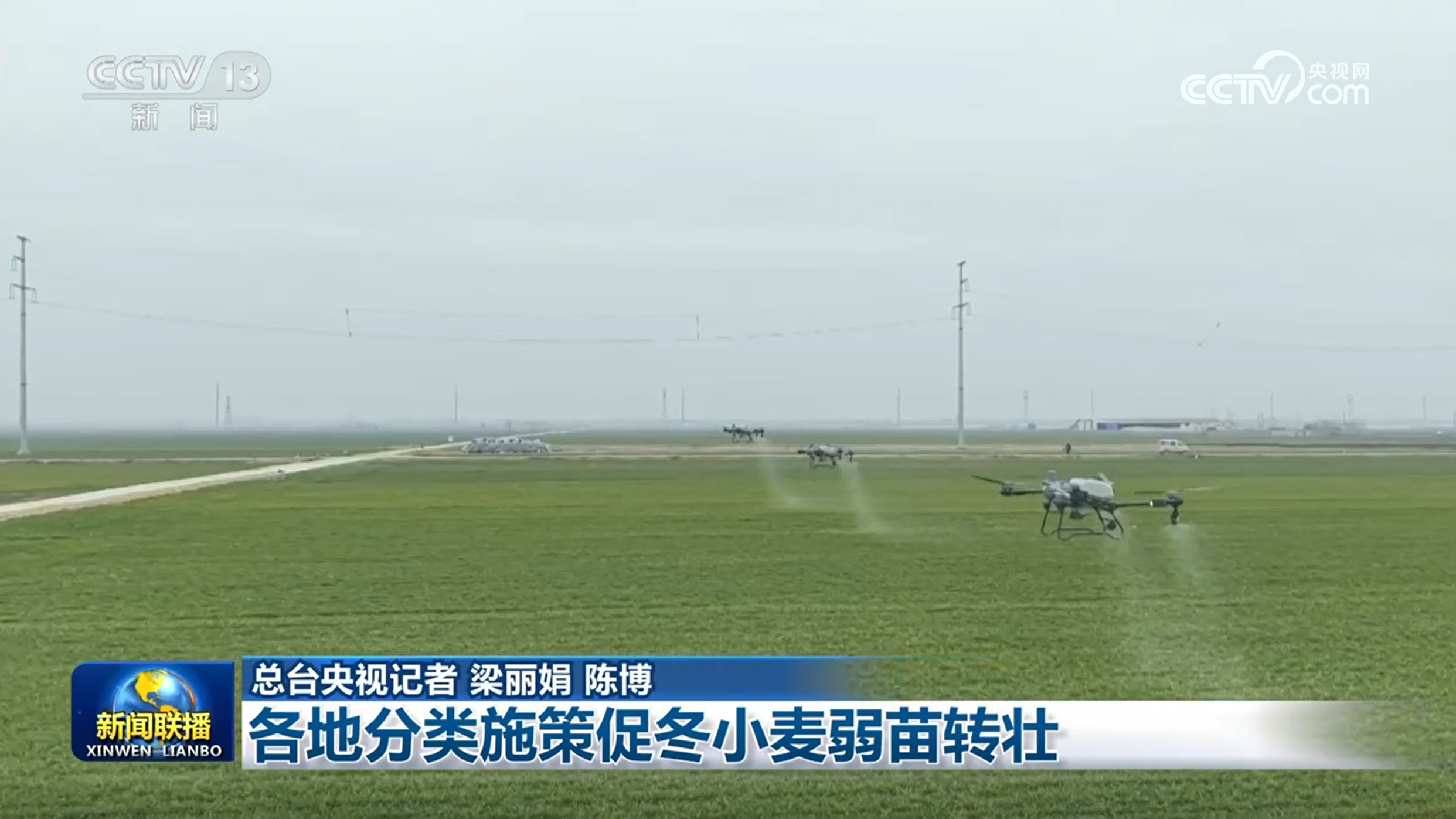 各地分类施策促冬小麦弱苗转壮